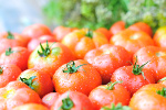Pomidory chroni przed rakiem skry [© ortodoxfoto - Fotolia.com]