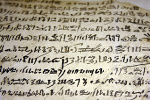Pom odczyta staroytny papirus [© Viola Joyner - Fotolia.com]