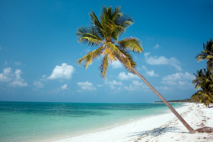 © Aleksandar Todorovic - Fotolia.com © Aleksandar Todorovic - Fotolia.com