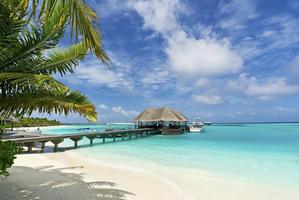 Popularne miejsca na wakacje: Malediwy [fot. iStock_Travelplanet_pl_Malediwy]