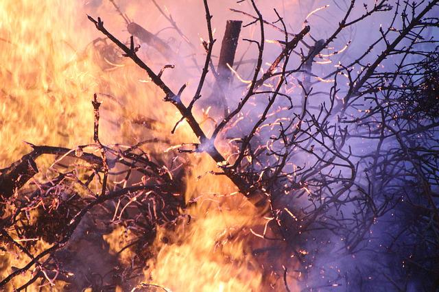 Pożary obszarów naturalnych sprzyjają nowotworom [fot. Sabine Fenner from Pixabay]