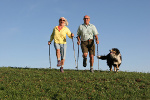 Profilaktyka osteoporozy - powiedz stop kruchym kociom [©  falkjohann - Fotolia.com]