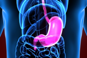 Rak żołądka: ważna rola układu odpornościowego [Fot. PIC4U - Fotolia.com]