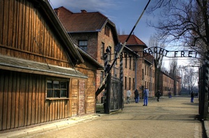 Rocznica wyzwolenia obozu Auschwitz  [© XtravaganT - Fotolia.com]