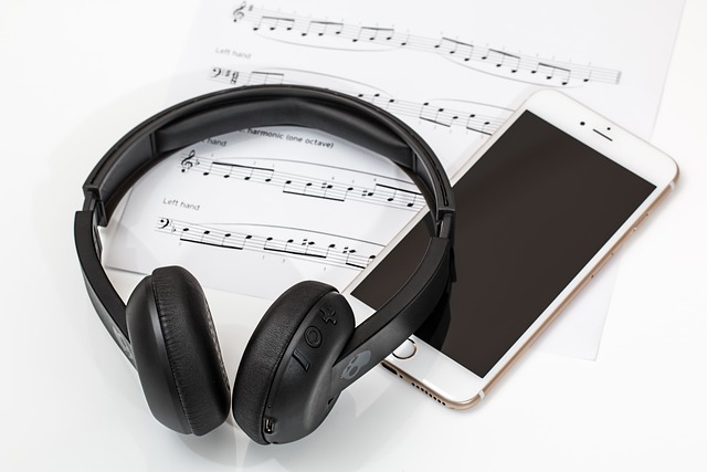 SÅuchanie muzyki poprawia zdrowie serca po zawale [fot. Steve Buissinne from Pixabay]
