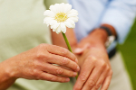 Senior na randce: 10 sposobw na udane spotkanie [© Yuri Arcurs - Fotolia.com]