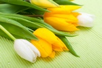Sidma rocznica mierci Jana Pawa II [© jamdesign - Fotolia.com]