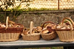 Smakowite Bory Dolnolskie [©  Jean-Marie Polese - Fotolia.com]