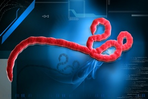 miertelny wirus Ebola uderza w Afryce Zachodniej  [©  krishnacreations - Fotolia.com]