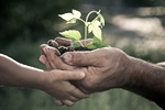 Solidarno midzypokoleniowa - oparcie w rodzinie [© yarruta - Fotolia.com]