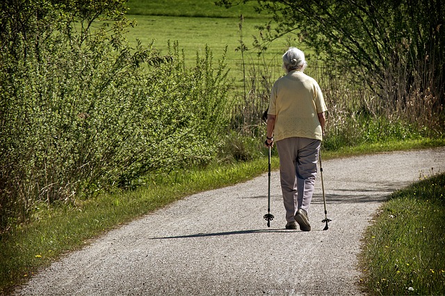 Spacer kluczowy dla zdrowia - im więcej kroków, tym dłuższe życie [fot. Manfred Antranias Zimmer from Pixabay]