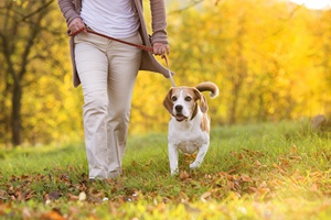 Sposb na zwyrodnienie staww - sze tysicy krokw dziennie [© Halfpoint - Fotolia.com]