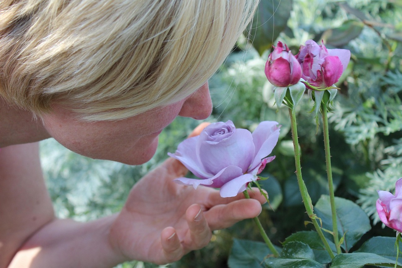 Starszy wiek moe hamowa rozwj raka, a nie go napdza [fot. MarionF from Pixabay]