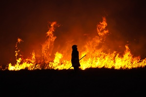 Susza. Rekordowa liczba poarw w wakacje [© Aleksandra Madejska - Fotolia.com]