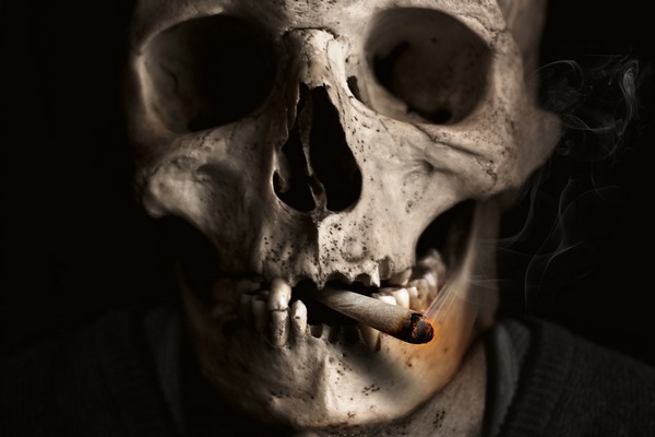 Światowa Organizacja Zdrowia: co roku papierosy zabijają osiem milionów ludzi  [fot. Jonny Lindner from Pixabay]