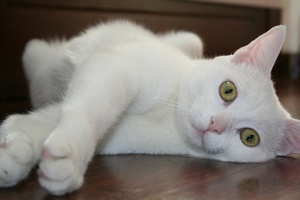 © 3gatti - Fotolia.com © 3gatti - Fotolia.com