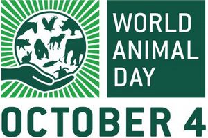 fot. World Animal Day