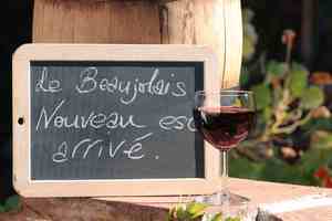 wito beaujolais nouveau 2016 [© Claude Calcagno - Fotolia.com]