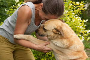 © Daria Filiminova - Fotolia.com © Daria Filiminova - Fotolia.com