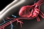 Sztywno aorty czynnikiem nadcinienia [© psdesign1 - Fotolia.com]