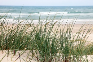 © Jens Klingebiel - Fotolia.com © Jens Klingebiel - Fotolia.com