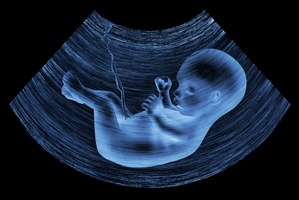 Ustawa antyaborcyjna bez zmian [© Zffoto - Fotolia.com]