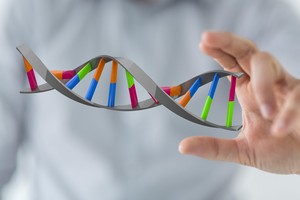 Wiek pocztku menopauzy jest zapisany w DNA [© vege - Fotolia.com]