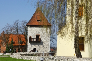 Wieliczka: wystawa "Sl w Polsce - wspczesne orodki produkcji"  [Fot. wojtekmt - Fotolia.com]