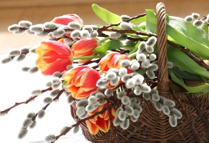 © ChristArt - Fotolia.com © ChristArt - Fotolia.com
