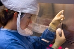 Wielkie oczy wirusa: nadchodzi era masowych szczepie przeciwko grypie? [fot. CDC/ Taronna Maines]