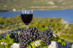 Wino polecane w celu zapobiegania demencji [© mariocigic - Fotolia.com]