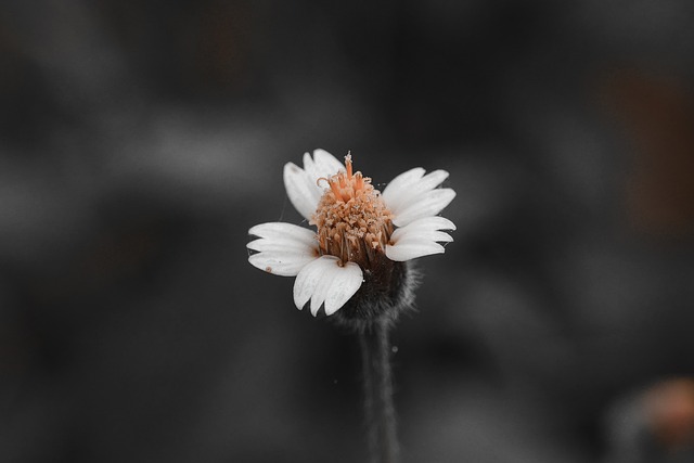 Witamina B6 - atwo ulega zniszczeniu, a potrzeba jej dla zdrowia mzgu [fot. Phu Nguyen from Pixabay]