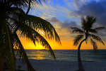 Z wakacji przywie tylko wspomnienia [© Malbert - Fotolia.com]