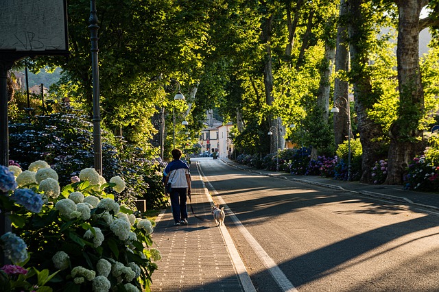 Zielone przestrzenie w miastach poprawiaj nasz dobrostan [fot. BÙI VN HỒNG PHÚC from Pixabay]