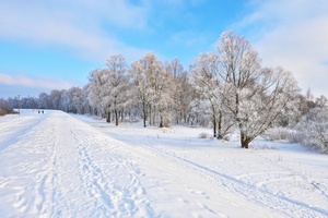 Zima 2014 / 2015. Jakiej pogody oczekują Polacy? [© boguslaw - Fotolia.com]