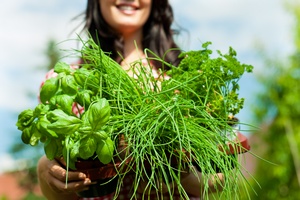 Zioa i przyprawy pomagaj ograniczy ilo soli w diecie [© Kzenon - Fotolia.com]