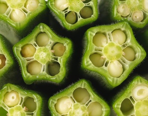 Zioa w subie zdrowiu: pimian waciwy (okra) na problemy odkowe [© fkruger - Fotolia.com]