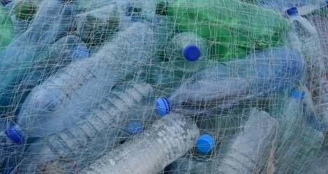 Zrecyklingowany plastik jest peny zwizkw toksycznych