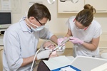 rdo modoci u... dentysty? [© Monkey Business - Fotolia.com]